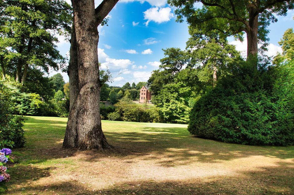 An outdoor scene featuring a large tree with a textured trunk and spreading branches on the left side of the image, with a grassy area and a mixture of small and mature trees and shrubs in the background. To the right, there is a dense, rounded green bush, and further back, a distant brick building with multiple windows is visible through the foliage. The sky above is partly cloudy with patches of blue, and sunlight casts shadows on the ground, highlighting the textures of the grass, soil, and plant life. This setting represents a peaceful park or garden area, suitable for a home relocation or furniture transport process, where items could be prepared and loaded from the surrounding space, reflecting the context of house removals or packing and moving activities as overseen by Man with Van Chiswick.